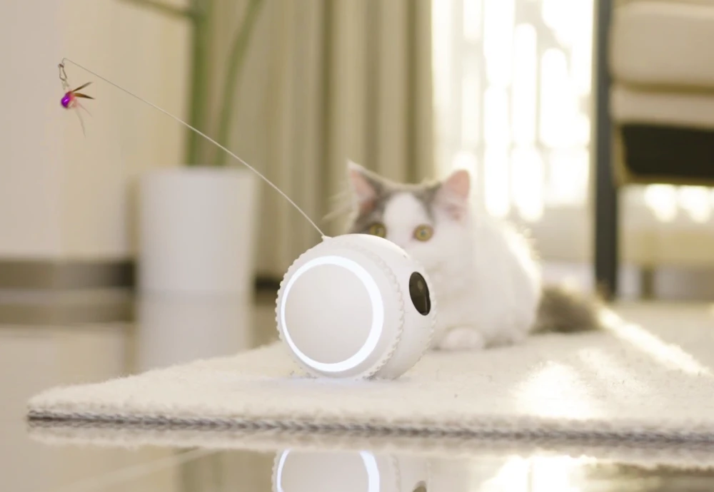 best pet indoor camera